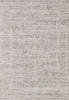 Dynamic AIMON Grey 53 X 77 Area Rug AI6916658798 801-156113 Thumb 0
