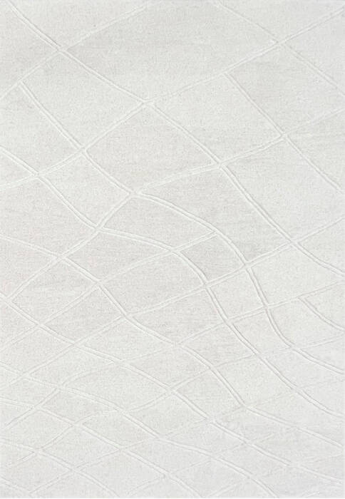 Dynamic ARIA Beige 50 X 80 Area Rug AA698552100 801-156124 Image 0