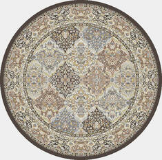 Dynamic ANCIENT GARDEN Brown Round 5'3" X 5'3" Area Rug ANR5570083235 801-156131