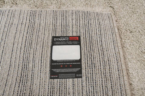 Dynamic VENICE Beige 67 X 96 Area Rug VC71018400800 801-156232 Image 2