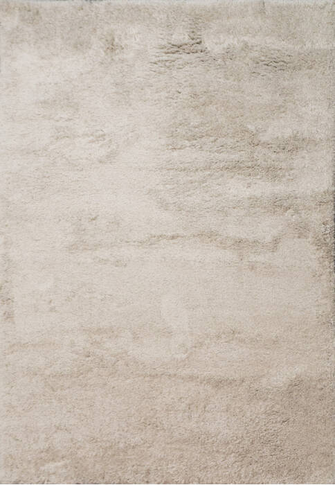 Dynamic VENICE Beige 67 X 96 Area Rug VC71018400800 801-156232 Image 0