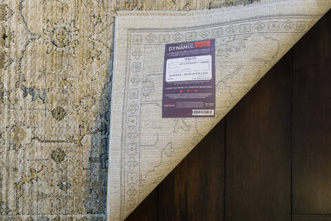 Dynamic TREVI Beige 53 X 77 Area Rug TV6913251180 801-156250 Image 2