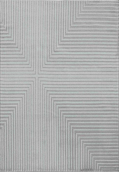 Dynamic TIMELESS Grey 53 X 77 Area Rug TL696923900 801-156270 Image 0