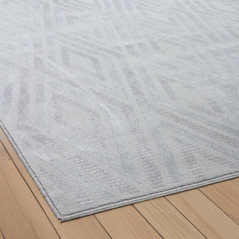 Dynamic TIMELESS Grey 53 X 77 Area Rug TL696925909 801-156272 Image 2
