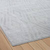 Dynamic TIMELESS Grey 53 X 77 Area Rug TL696925909 801-156272 Thumb 2