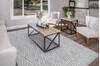 Dynamic TIMELESS Grey 53 X 77 Area Rug TL696925909 801-156272 Thumb 3