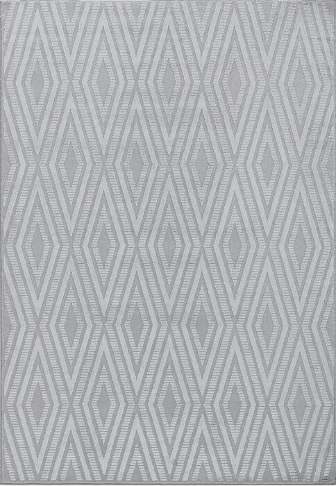 Dynamic TIMELESS Grey 67 X 96 Area Rug TL7106925909 801-156273 Image 0