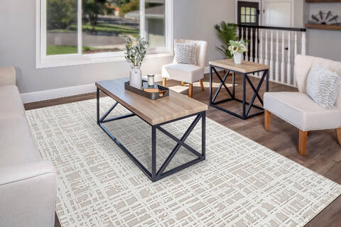 Dynamic TIMELESS Beige 53 X 77 Area Rug TL696928810 801-156276 Image 3