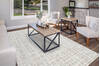 Dynamic TIMELESS Beige 53 X 77 Area Rug TL696928810 801-156276 Thumb 3