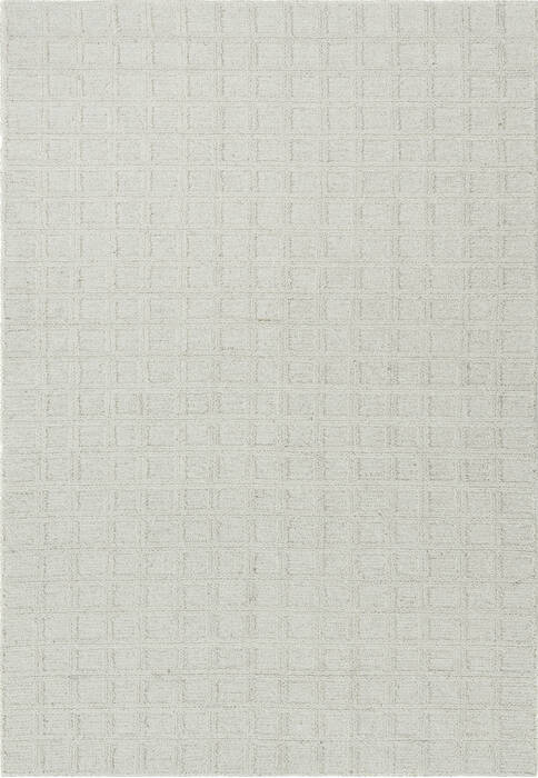Dynamic TEAK Beige 50 X 80 Area Rug TK5812801100 801-156292 Image 0