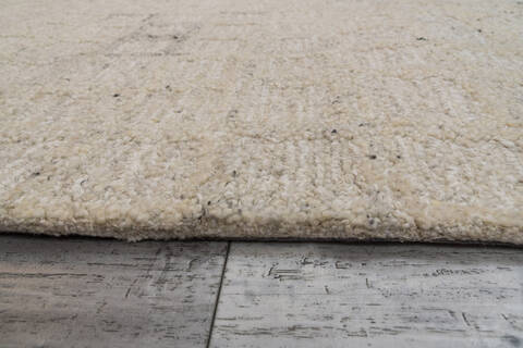 Dynamic TEAK Cream 50 X 80 Area Rug TK5812801110 801-156294 Image 1