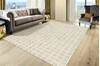 Dynamic TEAK Cream 50 X 80 Area Rug TK5812801110 801-156294 Thumb 3