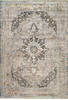 Dynamic RUBY Beige 53 X 77 Area Rug RU692185197 801-156368 Thumb 0