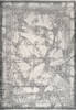 Dynamic RUBY Beige 53 X 77 Area Rug RU692189910 801-156374 Thumb 0