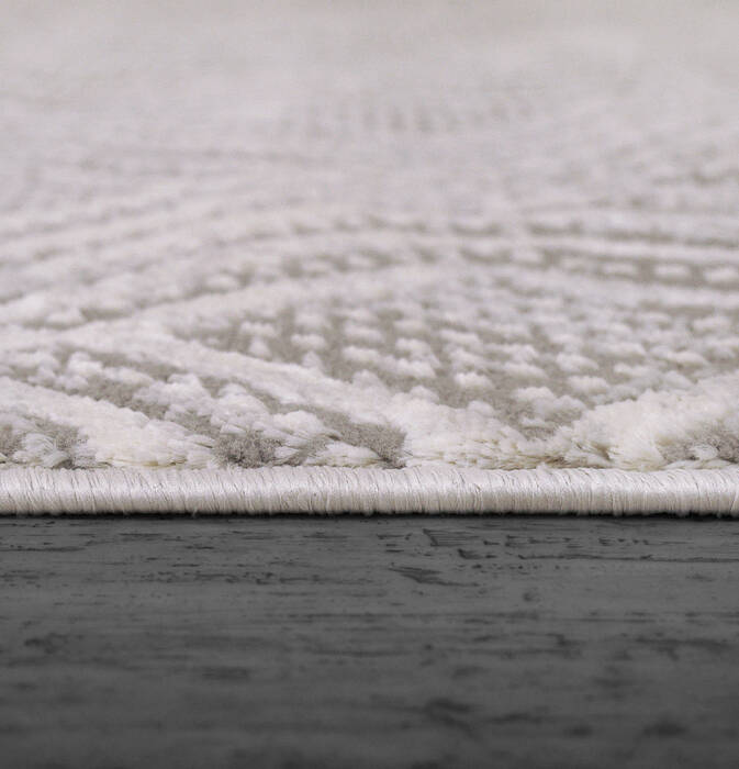 Dynamic RORI Grey 53 X 70 Area Rug RR699351900 801-156382 Image 1