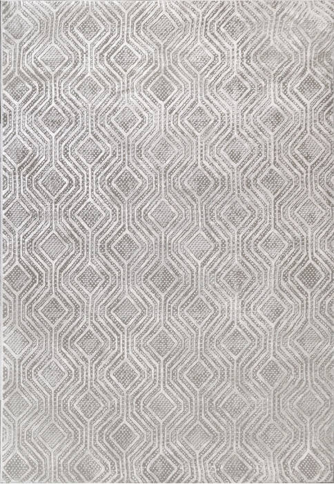 Dynamic RORI Grey 53 X 70 Area Rug RR699351900 801-156382 Image 0