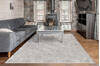 Dynamic RORI Grey 53 X 70 Area Rug RR699351900 801-156382 Thumb 3