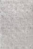 Dynamic RORI Grey 53 X 70 Area Rug RR699351900 801-156382 Thumb 0