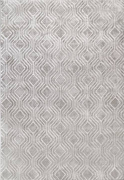 Dynamic RORI Grey 5'3" X 7'0" Area Rug RR699351900 801-156382