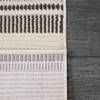 Dynamic RORI Beige 53 X 70 Area Rug RR699352109 801-156384 Thumb 2