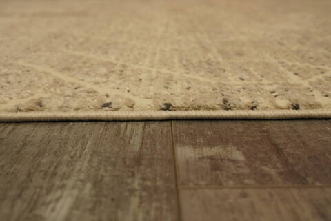 Dynamic RORI Beige 53 X 70 Area Rug RR699354190 801-156390 Image 1