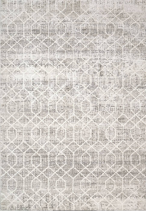 Dynamic RORI Beige 53 X 70 Area Rug RR699354190 801-156390 Image 0