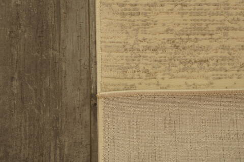 Dynamic RORI Beige 53 X 70 Area Rug RR699357109 801-156393 Image 2