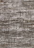 Dynamic RILEY Beige 53 X 77 Area Rug RI696030908 801-156414 Thumb 0