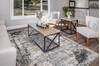 Dynamic RILEY Grey 53 X 77 Area Rug RI696031905 801-156416 Thumb 3