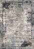 Dynamic RILEY Grey 53 X 77 Area Rug RI696031905 801-156416 Thumb 0