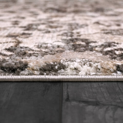 Dynamic RILEY Beige 67 X 96 Area Rug RI7106034908 801-156421 Image 1