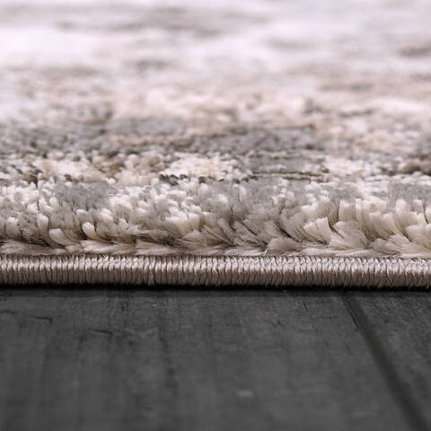 Dynamic RILEY Beige 53 X 77 Area Rug RI696035908 801-156422 Image 1