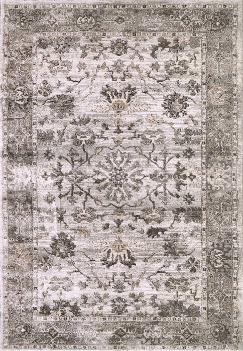 Dynamic RILEY Beige 53 X 77 Area Rug RI696035908 801-156422 Image 0