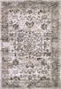 Dynamic RILEY Beige 53 X 77 Area Rug RI696035908 801-156422 Thumb 0