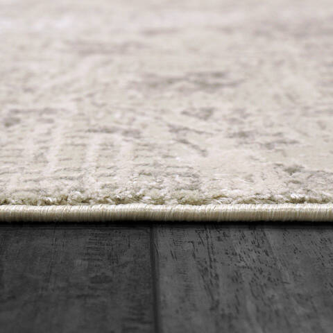 Dynamic RENAISSANCE Beige 311 X 57 Area Rug RS463157190 801-156445 Image 1