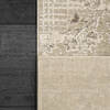 Dynamic RENAISSANCE Beige 311 X 57 Area Rug RS463157190 801-156445 Thumb 2