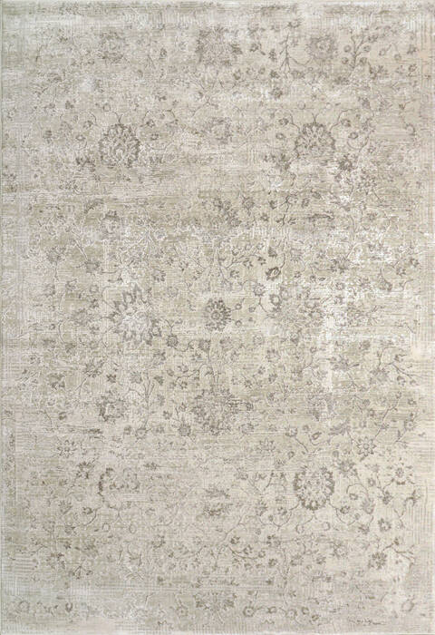 Dynamic RENAISSANCE Beige 53 X 77 Area Rug RS693157190 801-156446 Image 0