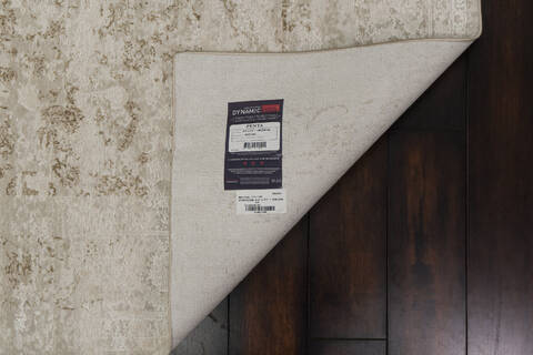 Dynamic PENTA Beige 53 X 77 Area Rug PN696321180 801-156508 Image 2