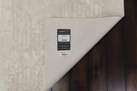 Dynamic PENTA Beige 53 X 77 Area Rug PN696323180 801-156512 Image 2
