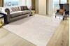 Dynamic PENTA Beige 53 X 77 Area Rug PN696323180 801-156512 Thumb 3
