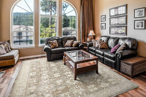 Dynamic Octo Multicolor 53 X 77 Area Rug OC696901199 801-156535 Image 3