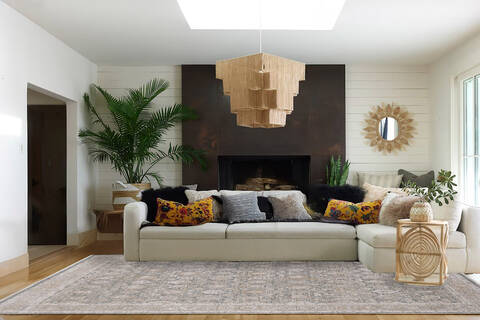 Dynamic LARA Beige 53 X 77 Area Rug LR6914621891 801-156705 Image 1