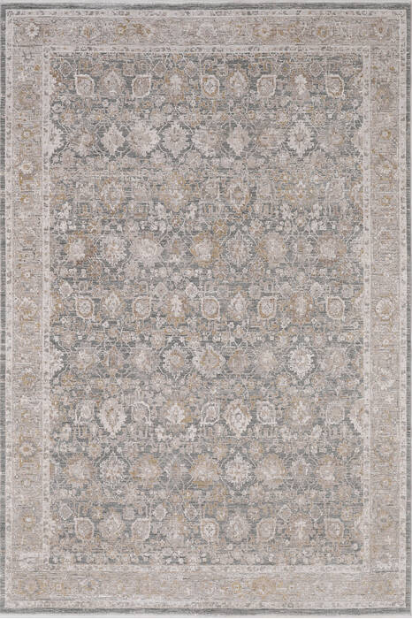Dynamic LARA Beige 53 X 77 Area Rug LR6914621891 801-156705 Image 0
