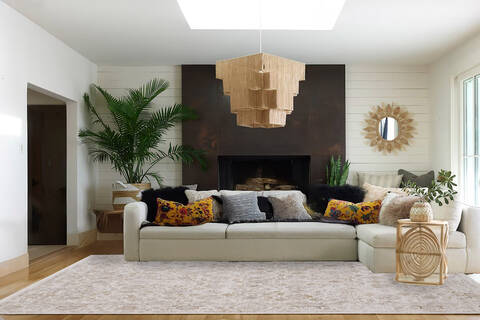 Dynamic LARA Beige 67 X 96 Area Rug LR71014622810 801-156708 Image 1