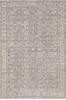 Dynamic LARA Beige 53 X 77 Area Rug LR6914623891 801-156709 Thumb 0