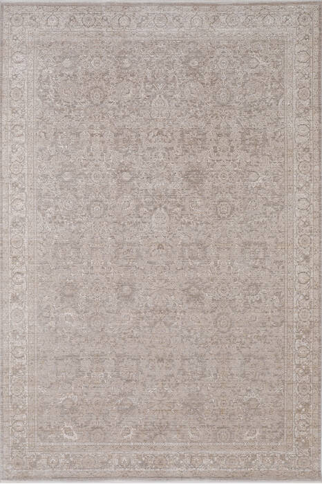 Dynamic LARA Beige 53 X 77 Area Rug LR6914624819 801-156711 Image 0