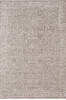 Dynamic LARA Beige 53 X 77 Area Rug LR6914624819 801-156711 Thumb 0