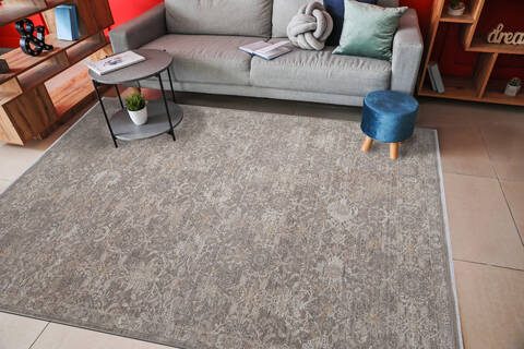 Dynamic LARA Beige 53 X 77 Area Rug LR6914625880 801-156713 Image 1