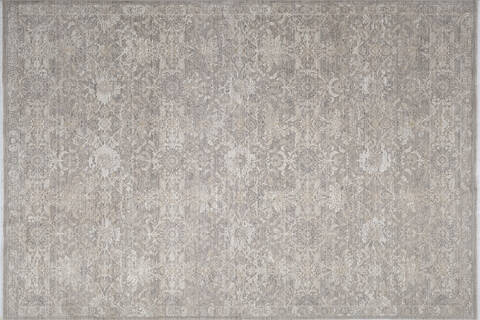 Dynamic LARA Beige 67 X 96 Area Rug LR71014625880 801-156714 Image 0
