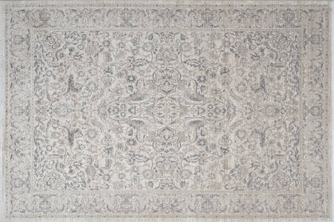 Dynamic LARA Beige 67 X 96 Area Rug LR71014626189 801-156716 Image 0